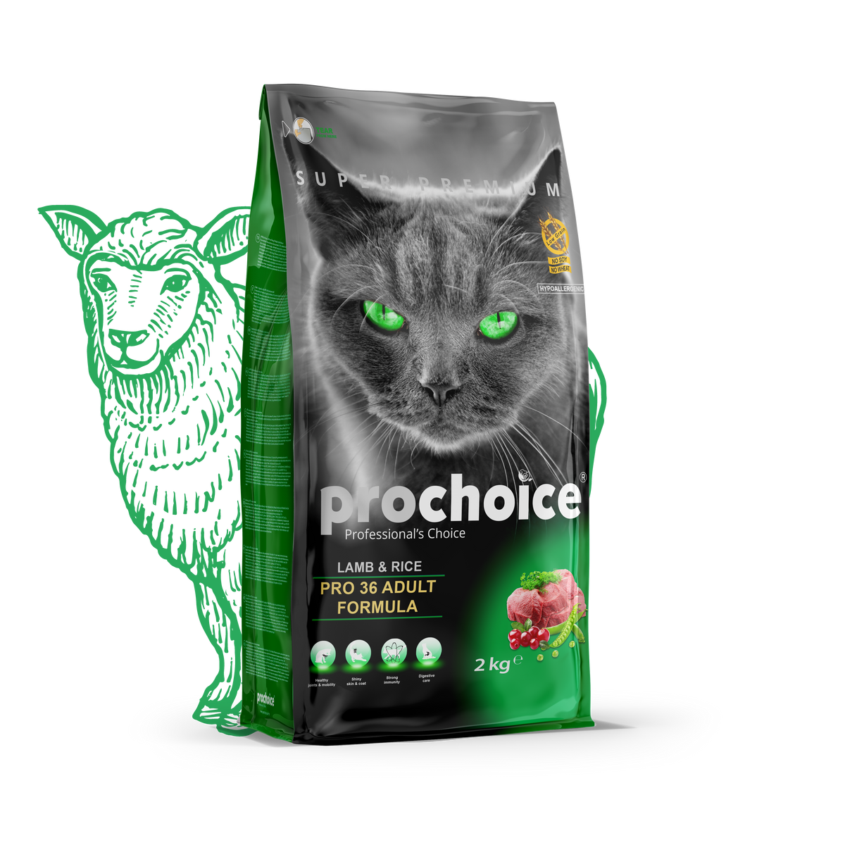 Prochoice Dry Cat Food with Lamb Rice Pro 36 Adult Formula 2 kg