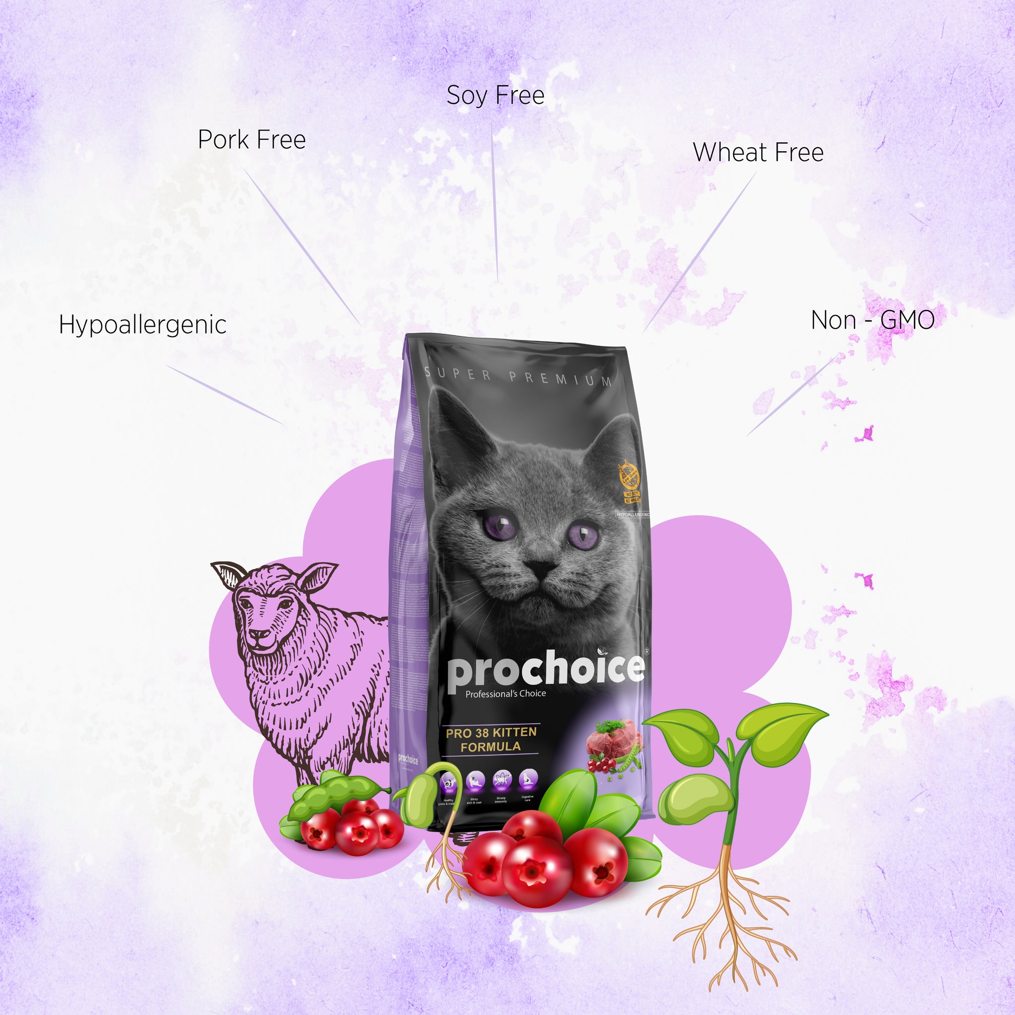 Pro 38 Lamb & Rice Formula - Dry Food For Kittens